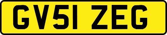 GV51ZEG