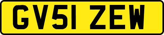 GV51ZEW