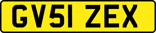 GV51ZEX