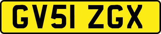 GV51ZGX