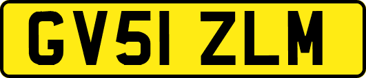 GV51ZLM