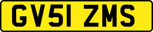 GV51ZMS