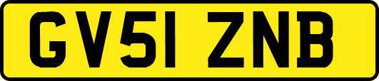 GV51ZNB