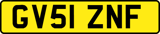 GV51ZNF