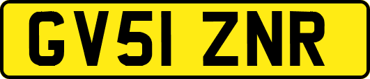 GV51ZNR