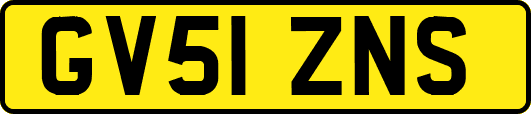 GV51ZNS