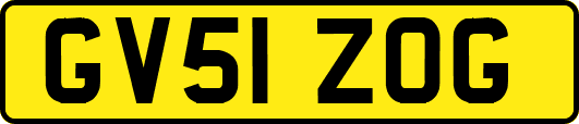 GV51ZOG