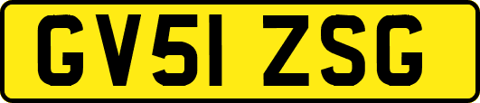 GV51ZSG