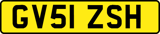 GV51ZSH