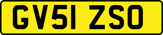 GV51ZSO
