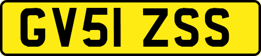 GV51ZSS