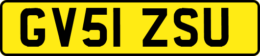 GV51ZSU