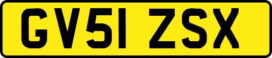 GV51ZSX