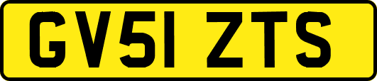 GV51ZTS