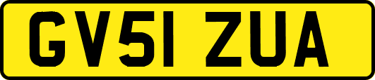 GV51ZUA