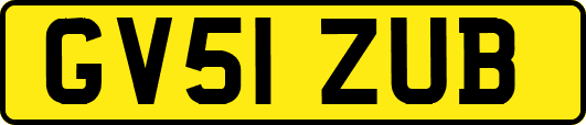 GV51ZUB