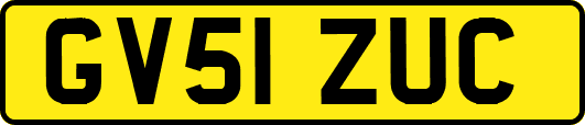 GV51ZUC
