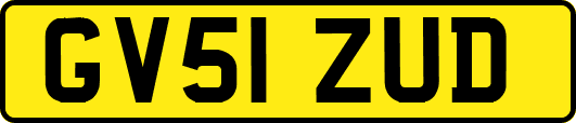 GV51ZUD