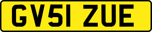 GV51ZUE