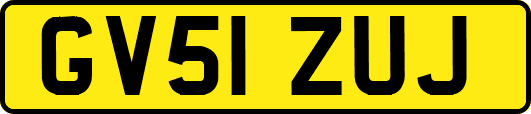 GV51ZUJ