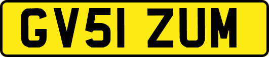 GV51ZUM