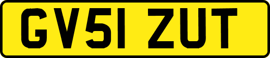 GV51ZUT