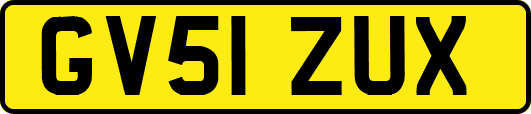 GV51ZUX