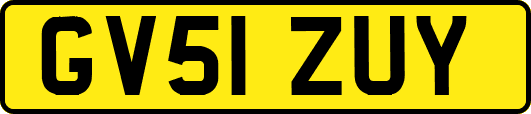 GV51ZUY