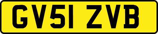 GV51ZVB