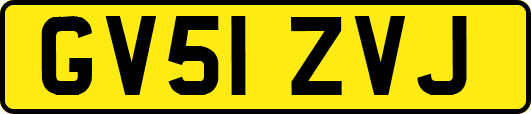 GV51ZVJ
