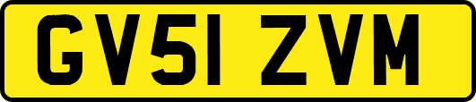 GV51ZVM