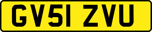 GV51ZVU