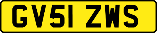 GV51ZWS