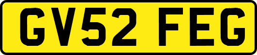 GV52FEG