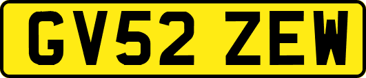 GV52ZEW
