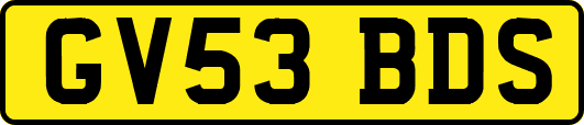 GV53BDS
