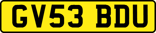 GV53BDU