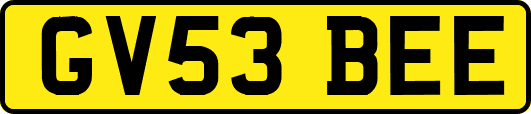 GV53BEE