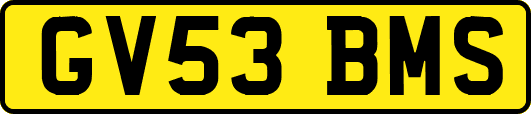 GV53BMS