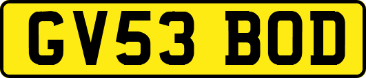 GV53BOD