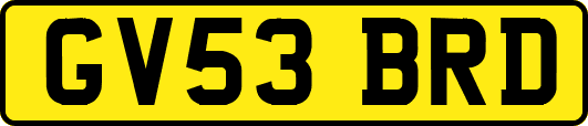 GV53BRD