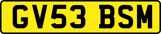GV53BSM