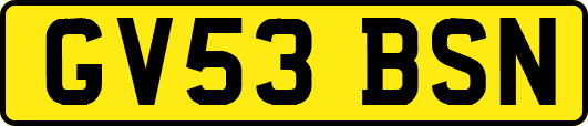 GV53BSN