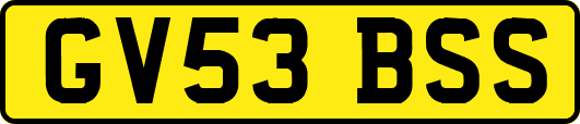 GV53BSS