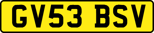 GV53BSV