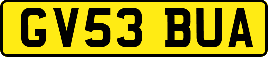 GV53BUA