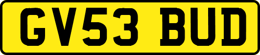 GV53BUD