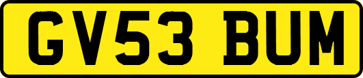 GV53BUM
