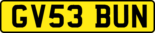 GV53BUN