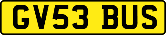 GV53BUS